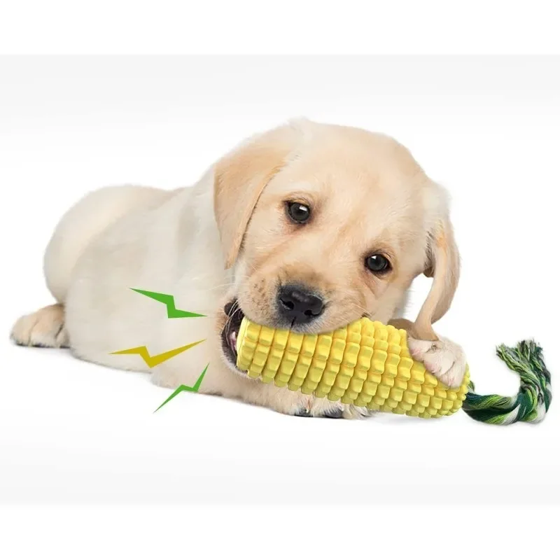 Corn Dog Stick - Baru! Untuk Anjing yang Suka Mengunyah